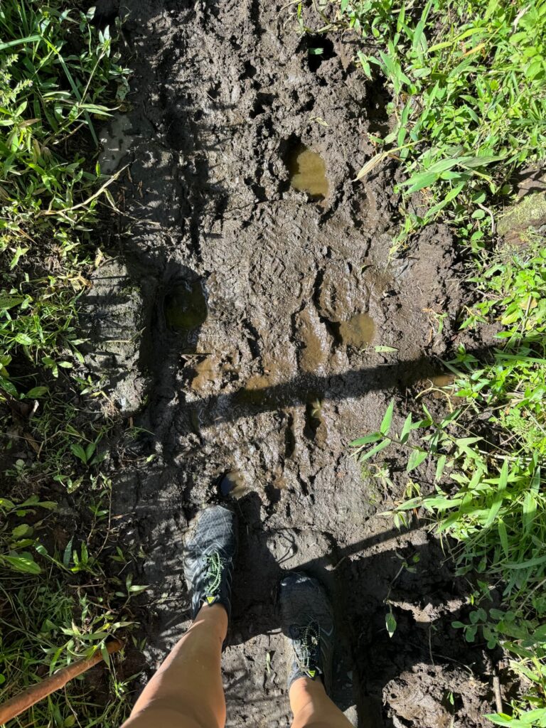 Photo showing the muddy trail conditions 