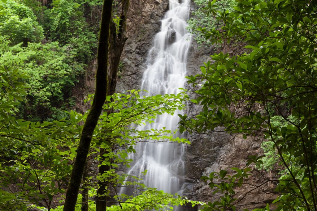 Montezuma Waterfall Costa Rica