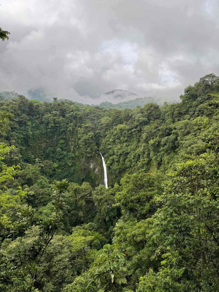 La Fortuna waterfall forested area