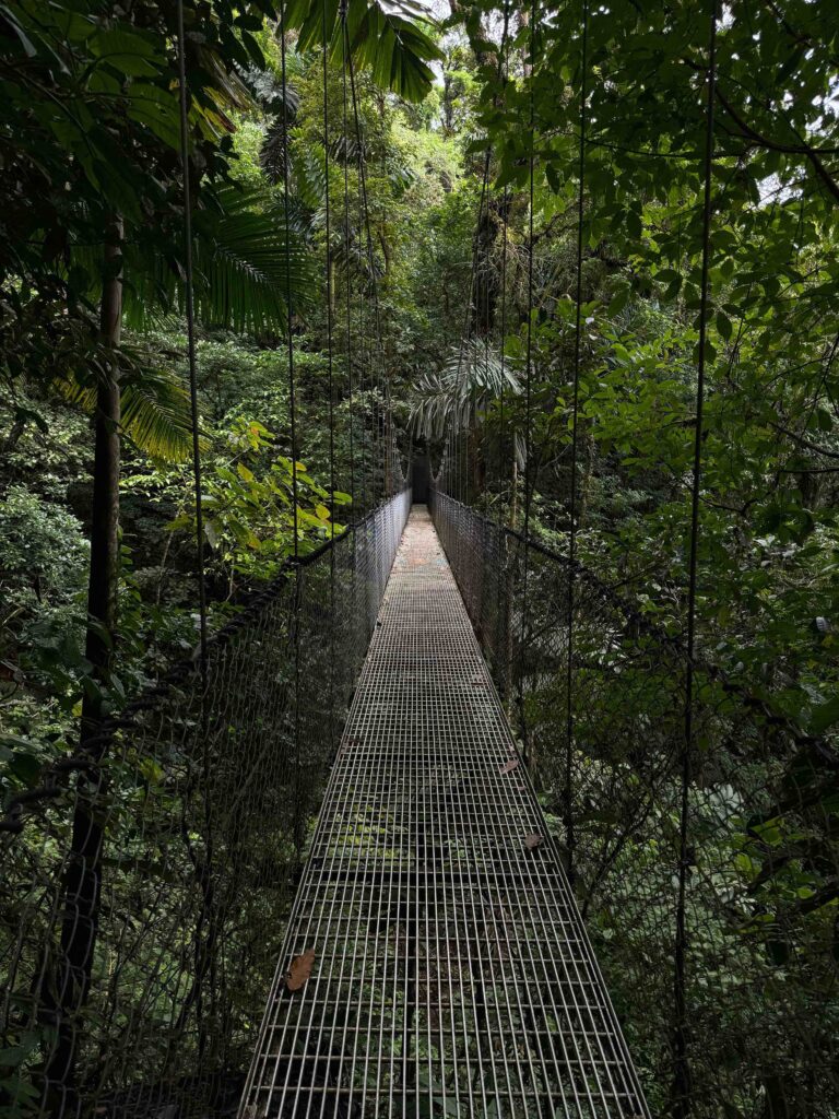 suspended bridge hanging over the rainforest at Mistico Hanging Bridges in Costa Rica. 