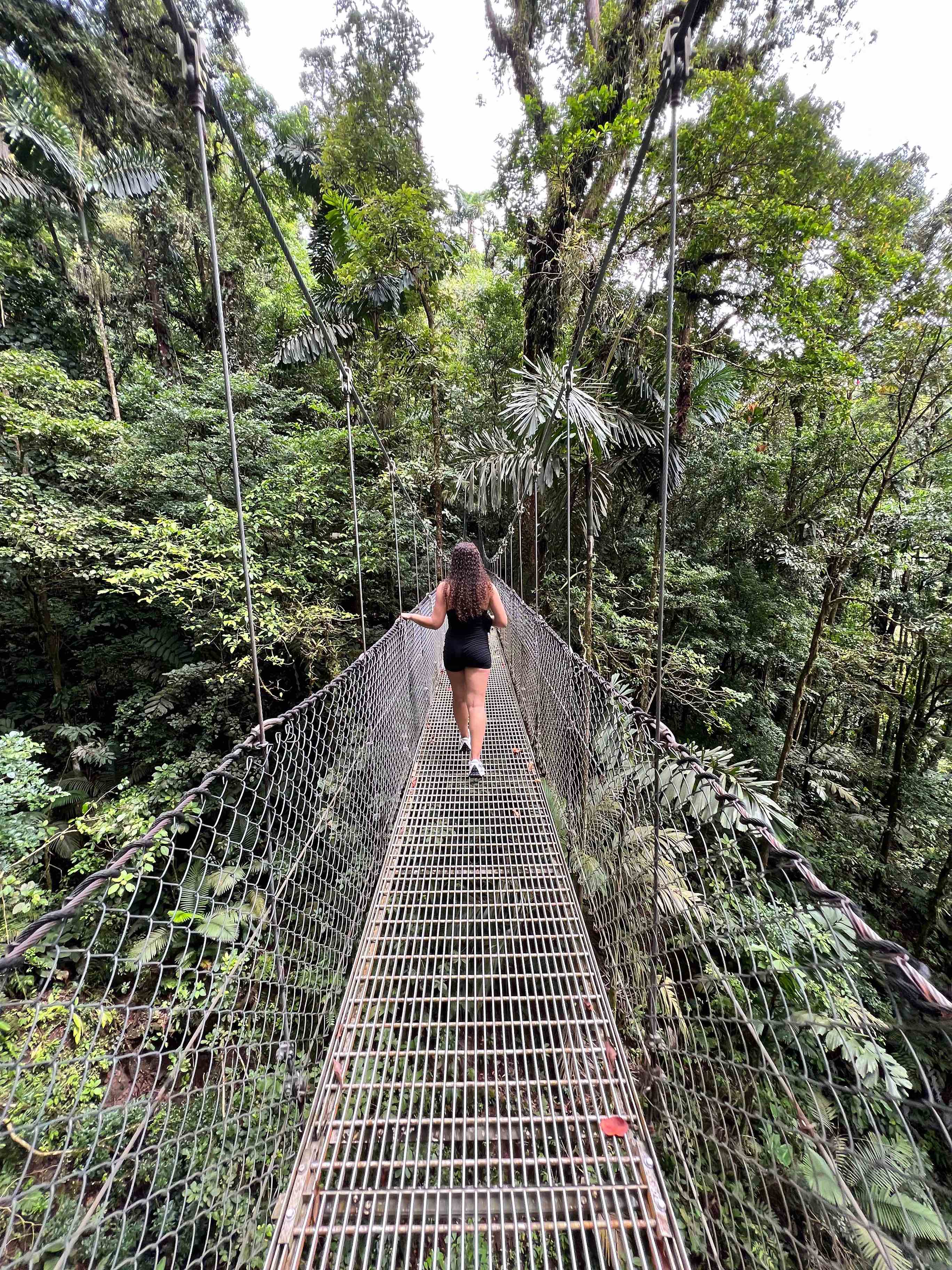 Hanging Bridges at Mistico Arenal Park in Costa Rica