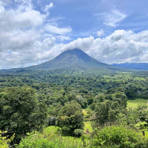 Bird Watching La Fortuna: Top 3 Spots Nature Lovers Must Visit