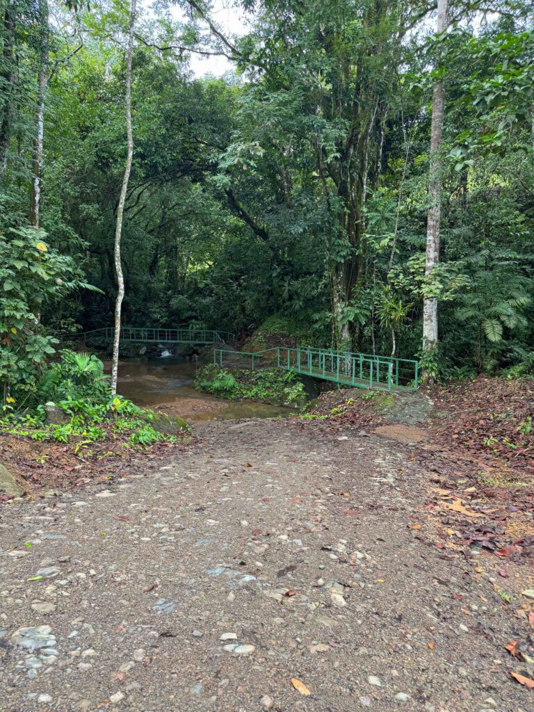 Trail hike conditions at Nauyaca Waterfalls Costa Rica