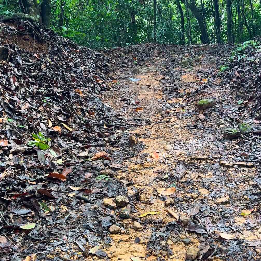 Showing how slippery and muddy trail areas to the Nauyaca Waterfalls Costa Rica can get